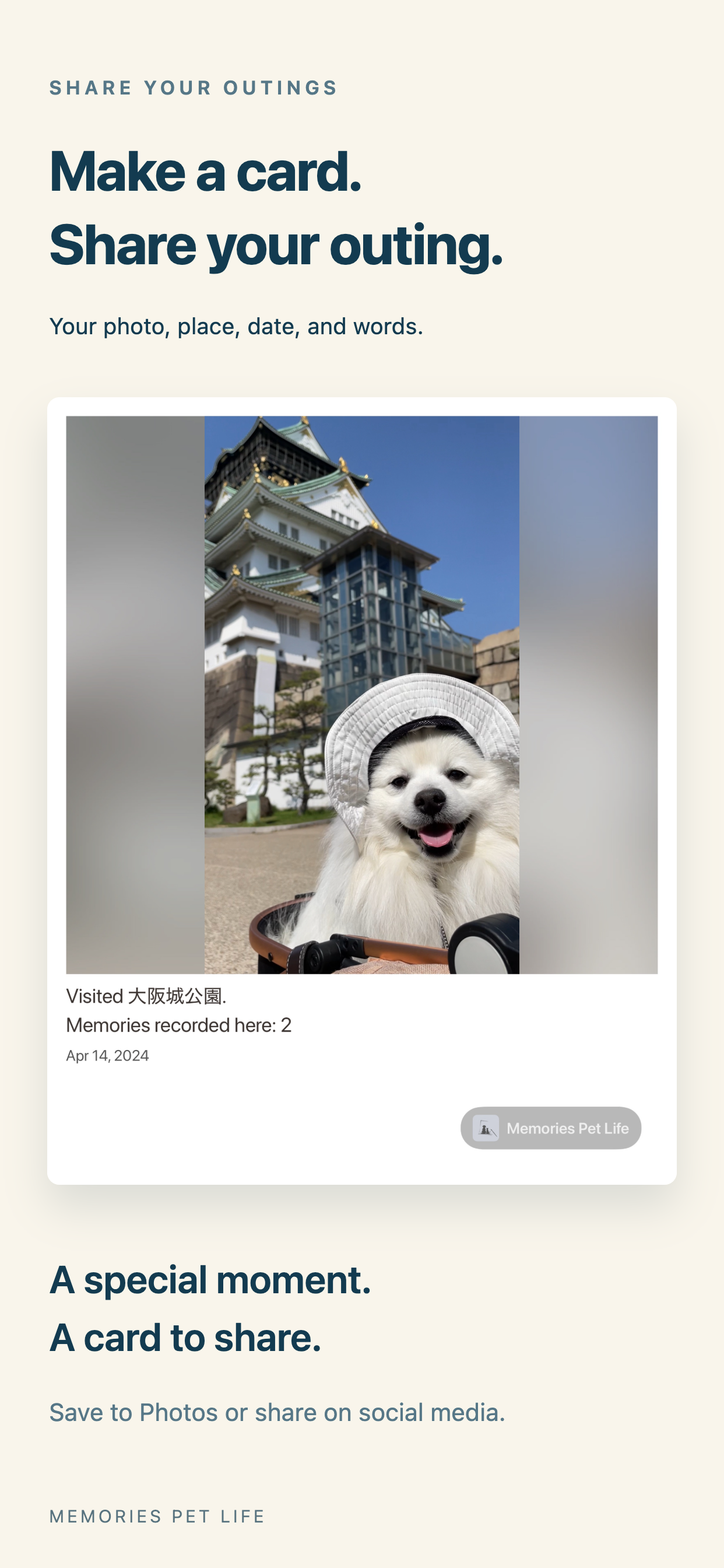 Outing Cards — v1.5.0 preview
