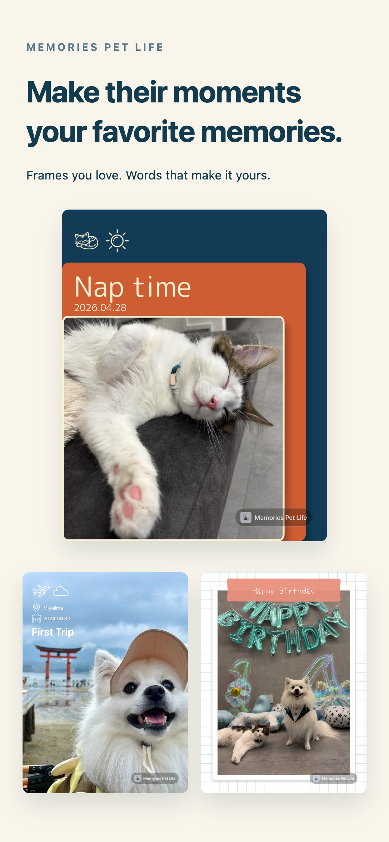 Pet creations made with frames