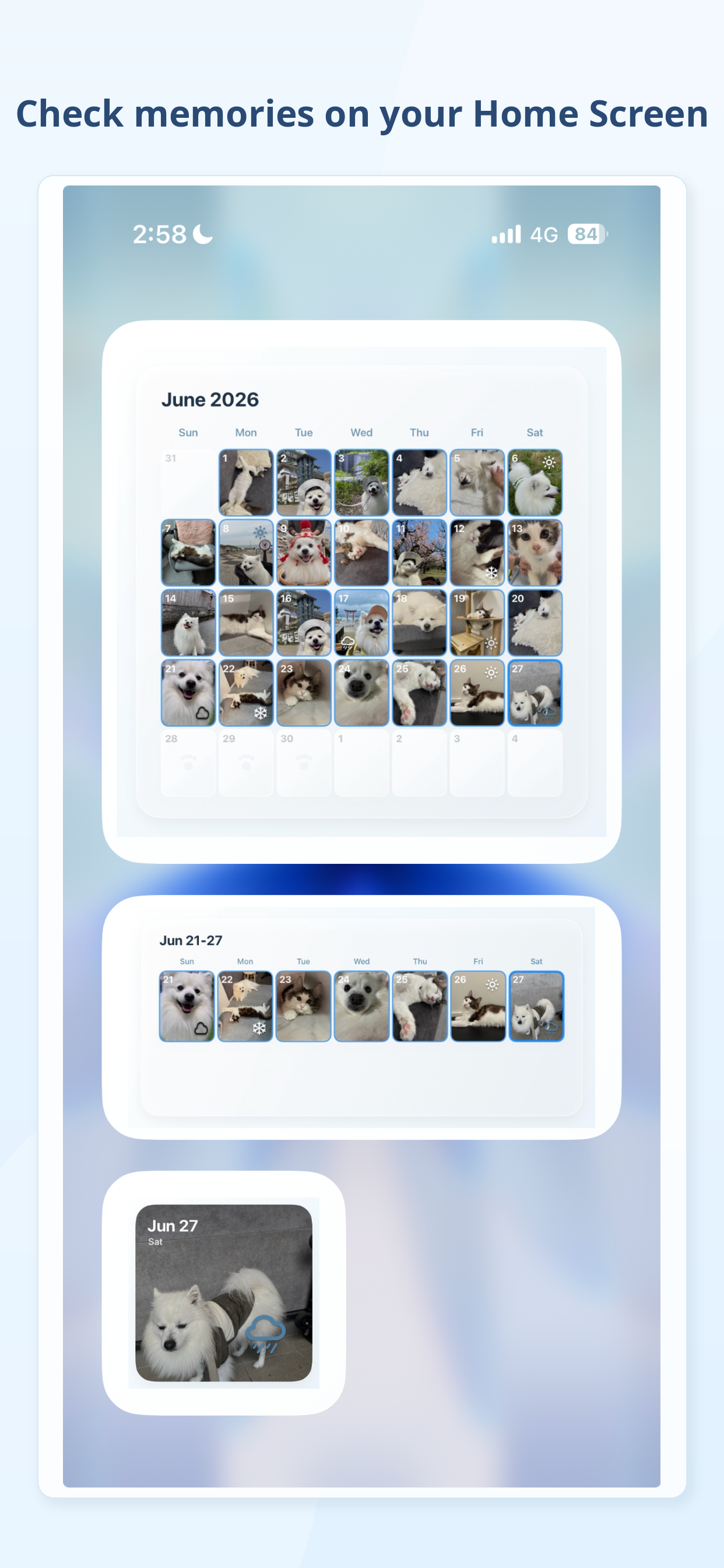 Preview image showing Home Screen widgets in Memories Pet Life