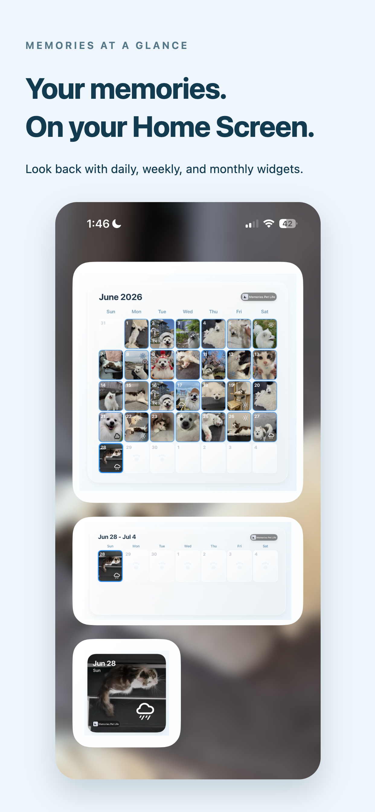 Preview image showing Home Screen widgets in Memories Pet Life