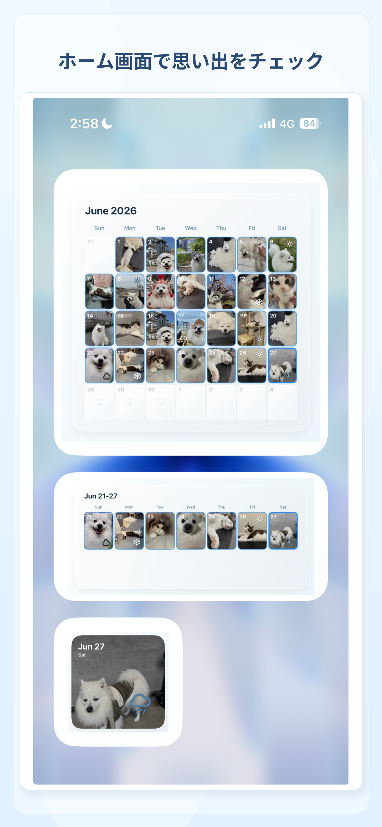 ホーム画面Widgetを紹介するMemories Pet Lifeのプレビュー画像