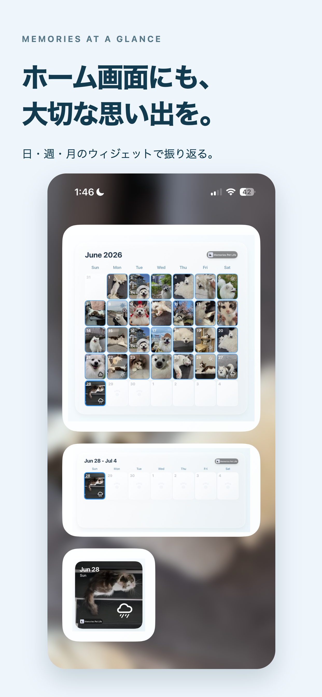 ホーム画面Widgetを紹介するMemories Pet Lifeのプレビュー画像